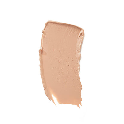 Perfect Coverage Concealer