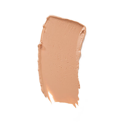 Perfect Coverage Concealer